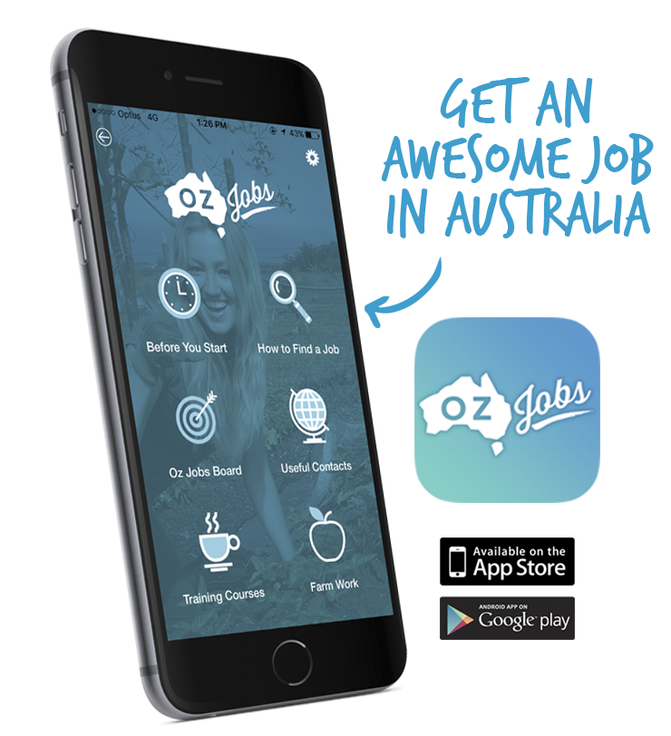 Oz Jobs Program & App